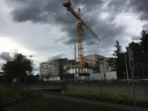 2017-07-27_19-05-41 1