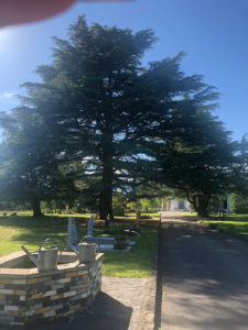 2019-05-31_17-56-37