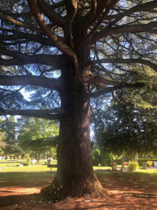 2019-05-31_17-57-59