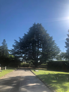 2019-05-31_18-05-19