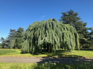 2019-05-31_18-15-20