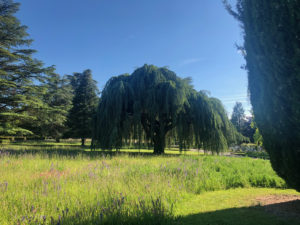 2019-05-31_18-16-40
