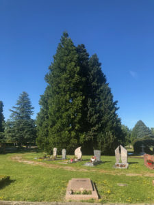 Avenue du Cimetière 2019-05-31_17-47-20