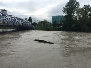 Boulevard d&rsquo;Yvoy 2015-05-04_15-36-13