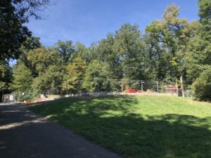 Chemin de la Bâtie 2018-08-26_12-06-37