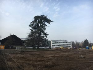 Chemin du Jonc 2016-12-13_15-06-13