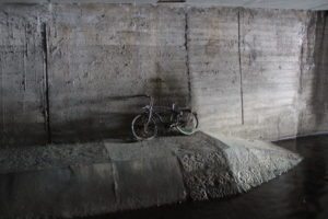 Genève-Canal de l’aire-2011JDP-13