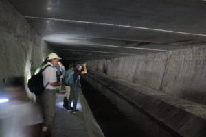 Genève-Canal de l’aire-2011JDP-14