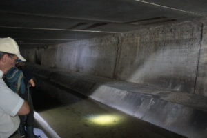 Genève-Canal de l’aire-2011JDP-16
