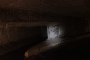 Genève-Canal de l’aire-2011JDP-20