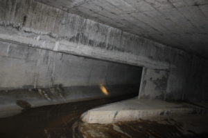 Genève-Canal de l’aire-2011JDP-21