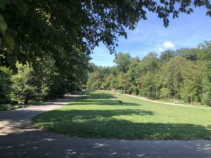 Parc Bois de la Bâtie 2018-08-26_12-05-21