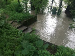 Quai Ernest-Ansermet 2015-05-04_15-38-52