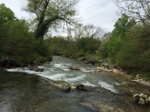 Route de l’Allondon 2015-04-26_12-02-59
