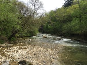 Route de l’Allondon 2015-04-26_12-03-10