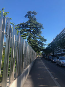 Rue de Lausanne 2019-05-31_16-28-28