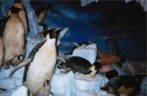 1999-02-01_15-00-12