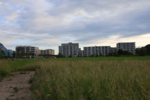 IMG_1135