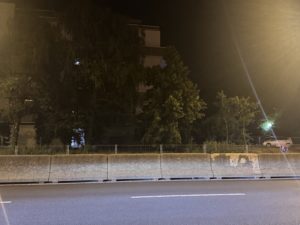 IMG_0766