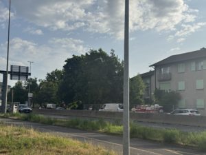 IMG_0767