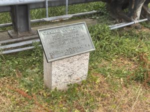 IMG_0909