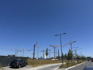 IMG_1119