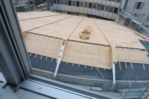 IMG_1560