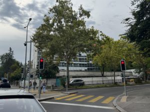 IMG_2211