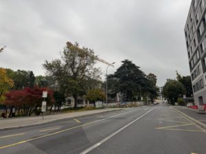IMG_2969