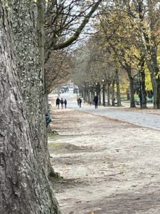 Image_20251101_144520