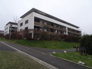 2025-12-20_17-11-57